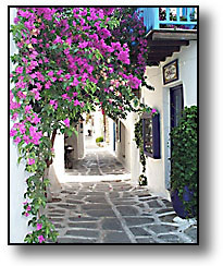 Paros - Greek Islands